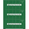 Athearn 27786 HO Scale 20' Intermodal Corrugated Container Evergreen EISU 3-Pack #2
